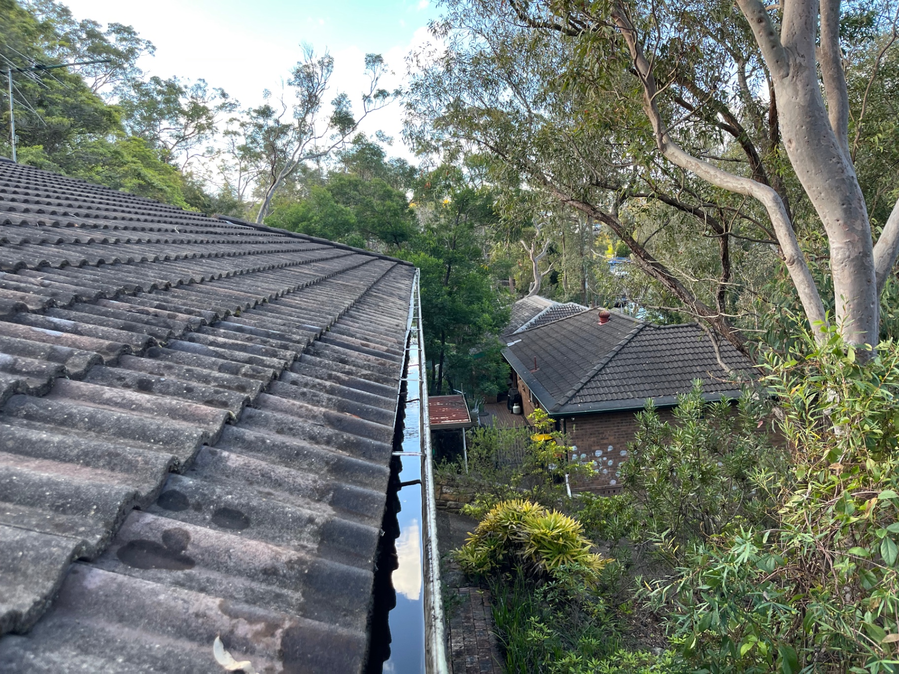 Cleared roof gutter reflecting the sky on a leafy Penrith home after a gutter clean